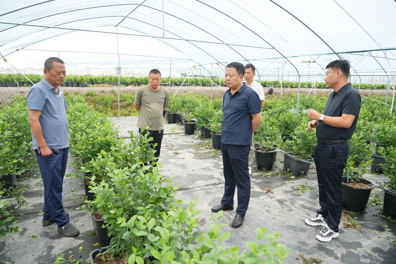 1752735593750574.jpg 微信圖片_20250717145857.jpg